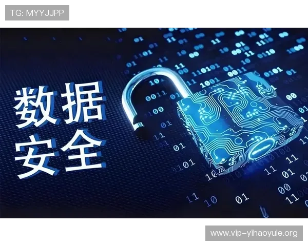 壹号网苑：构建安全稳定的网络环境保障用户权益与信息安全